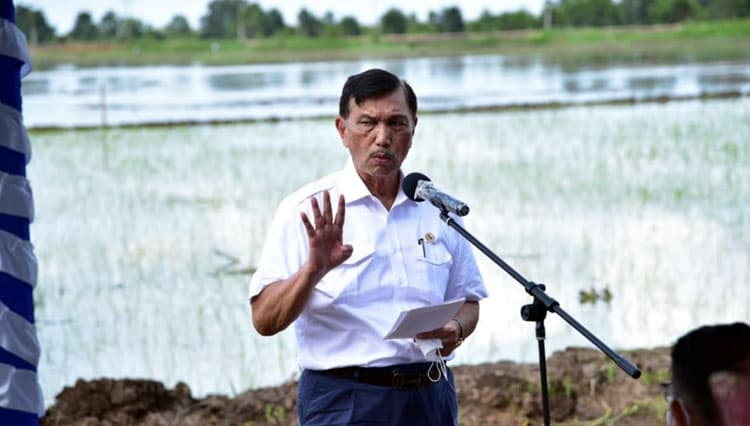 Menko Luhut: Tata Kelola Air Jadi Kunci Keberhasilan Kawasan Food Estate di Kalteng